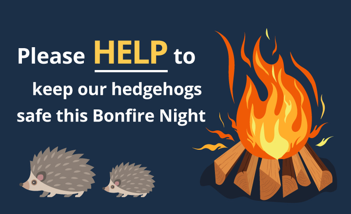 Who’s the Little Guy at your bonfire party?